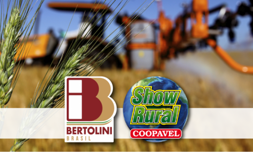 Show Rural Coopavel - 2019