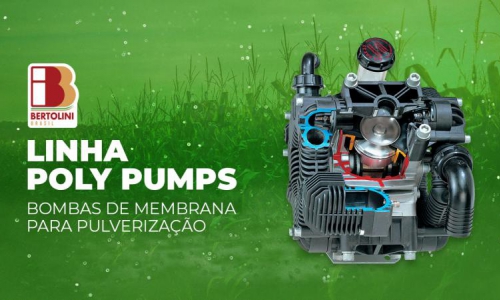 Linha Poly Pumps